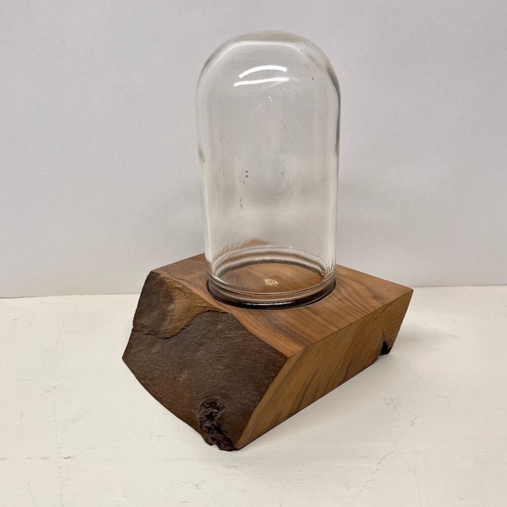 Unique Glass and Live Edge Wood Cloche Display